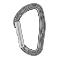 Petzl Djinn Straight Gate [Colour: Grey]